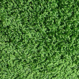 G 762 gelbgrün Langhaar RAL