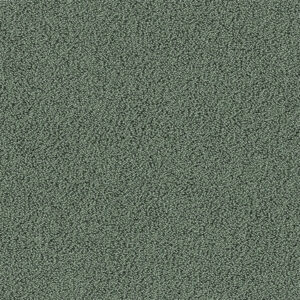 Gloss 7921 agave
