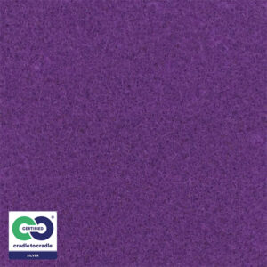 D 958 pflaume EXPOCARE flach