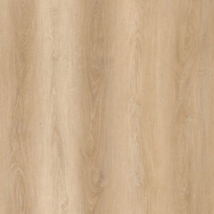 H 371/C55 eiche select EXPOclick
