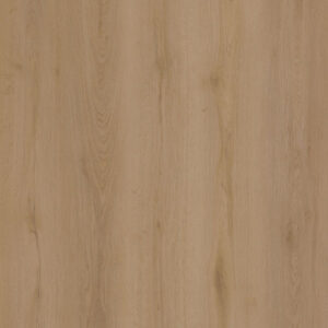 H 371/C55 EXPOkleben eiche select