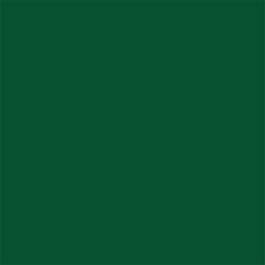 F 207 tükisgrün PVC RAL matt