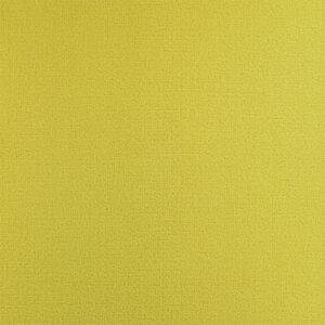 A 801 anis Velours colour