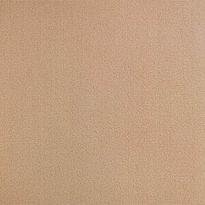 H 809 graubeige Velours colour