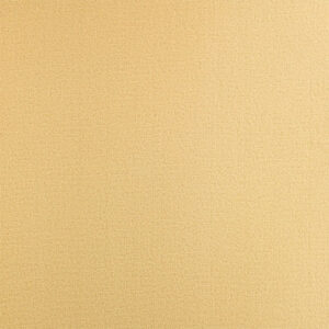 H 811 beige Velours colour