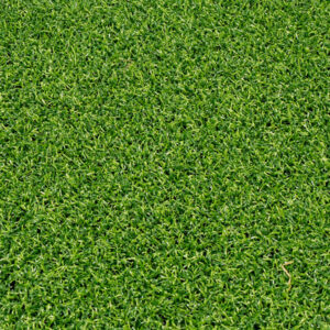 F 264 grün Fair Basic