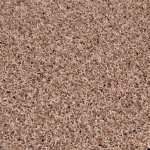 H 265 beige Fair Basic