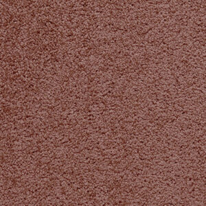 I 816 feige Frisé-Velours