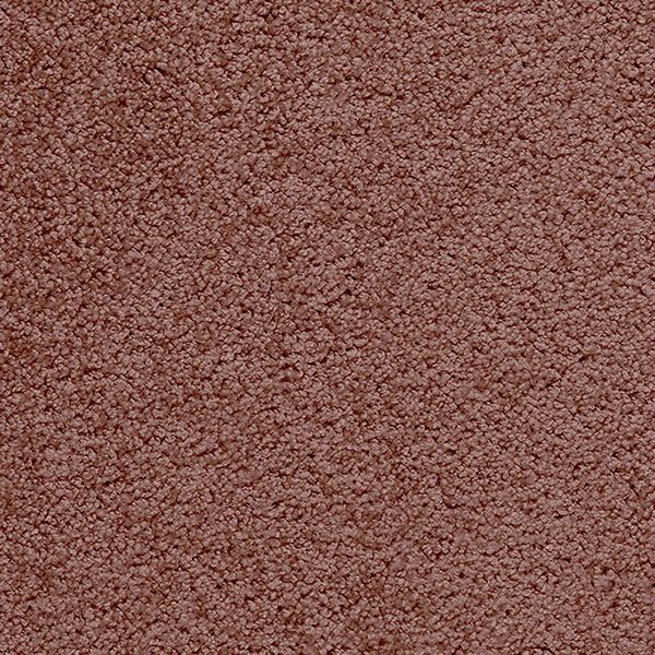 I 816 feige Frisé-Velours