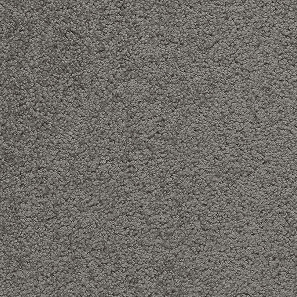 L 800 hellgrau Frisé-Velours