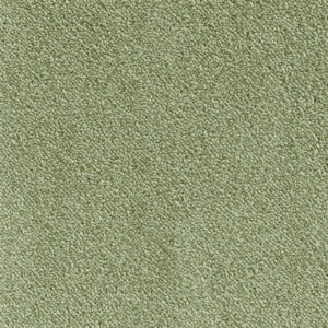 Velours Frisé glanz 2.0