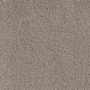 H 709 beige Velours Frisé glanz 2.0